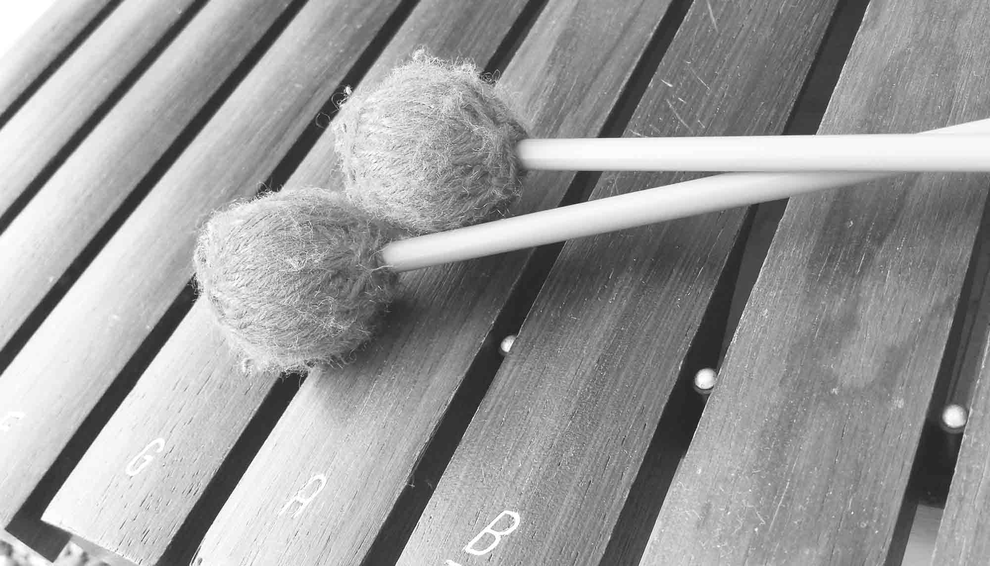 Xylophone background image from TransQuinn Productions